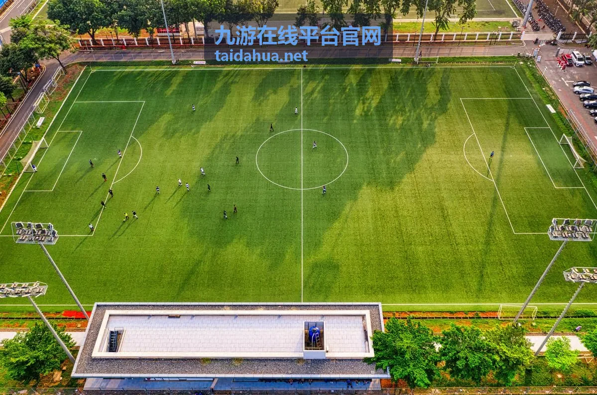 九游在线平台客户实践展示