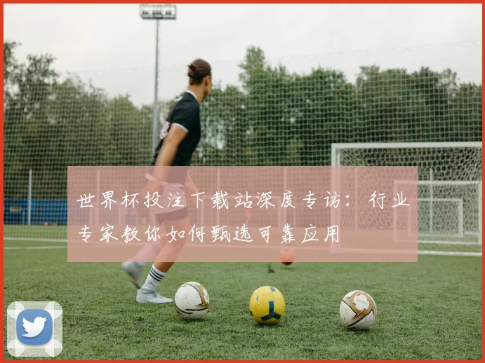 世界杯投注下载站深度专访：行业专家教你如何甄选可靠应用