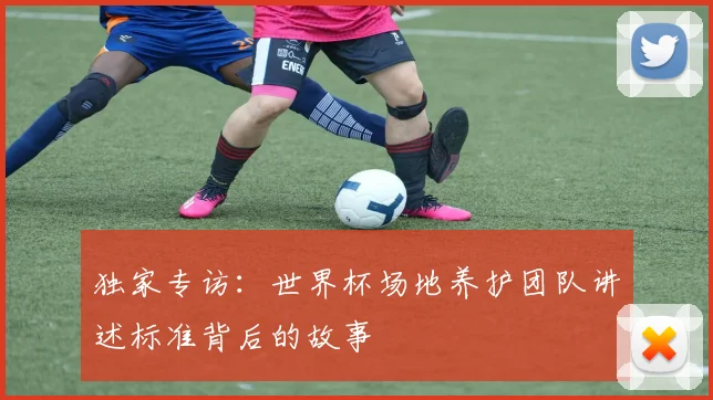 独家专访：世界杯场地养护团队讲述标准背后的故事