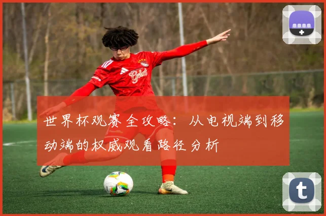 世界杯观赛全攻略：从电视端到移动端的权威观看路径分析