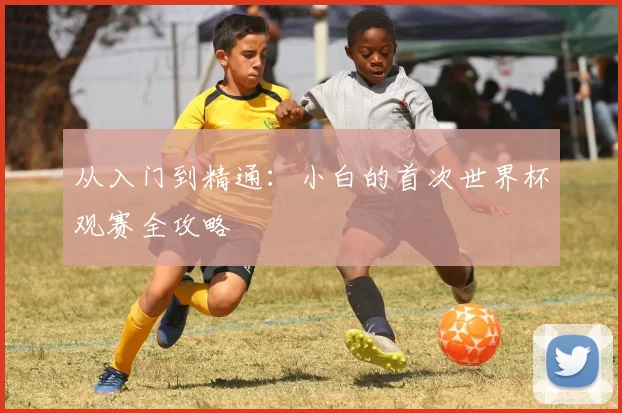从入门到精通：小白的首次世界杯观赛全攻略