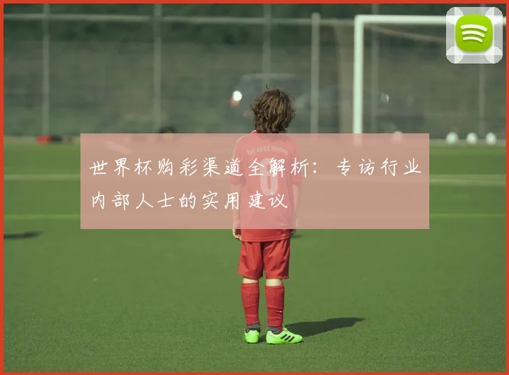 世界杯购彩渠道全解析：专访行业内部人士的实用建议