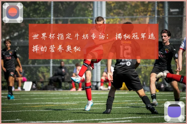 世界杯指定牛奶专访：揭秘冠军选择的营养奥秘