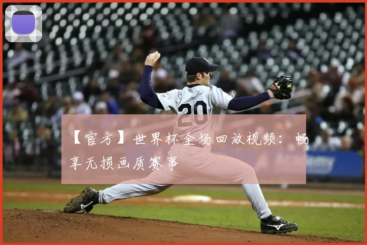 【官方】世界杯全场回放视频：畅享无损画质赛事
