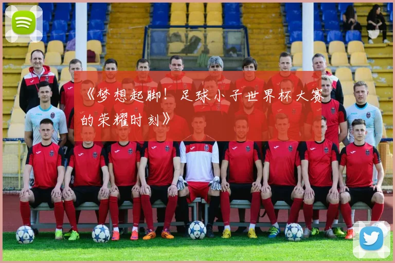 《梦想起脚!足球小子世界杯大赛的荣耀时刻》