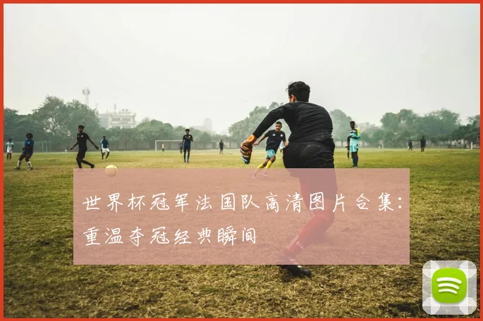世界杯冠军法国队高清图片合集:重温夺冠经典瞬间