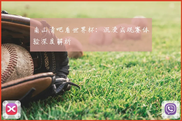 南山清吧看世界杯：沉浸式观赛体验深度解析
