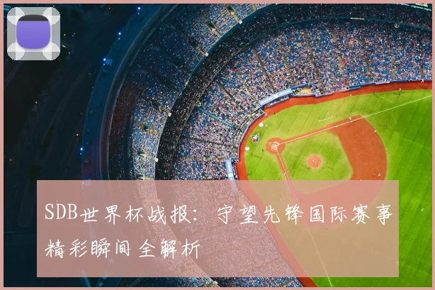 SDB世界杯战报:守望先锋国际赛事精彩瞬间全解析